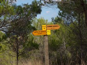 PA144877.jpg
