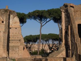 ThePalatine.jpg