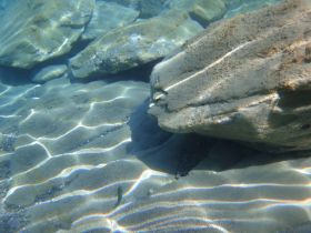 ClearBottom.jpg