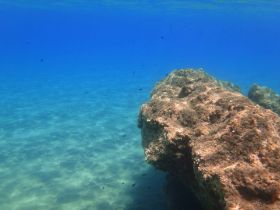 Fishinthebluesea.jpg